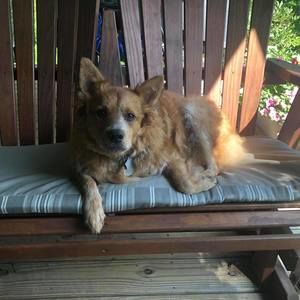 Meet your Posher, Joan